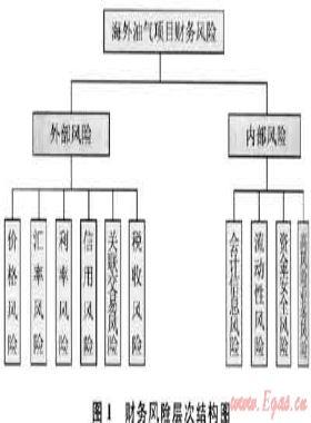 海外油氣項目財務(wù)風險分析及對策