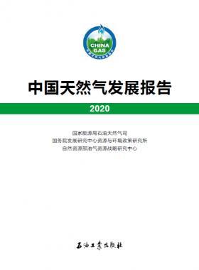 2020中國天然氣發(fā)展報(bào)告（含2017、2018、2019、2020）